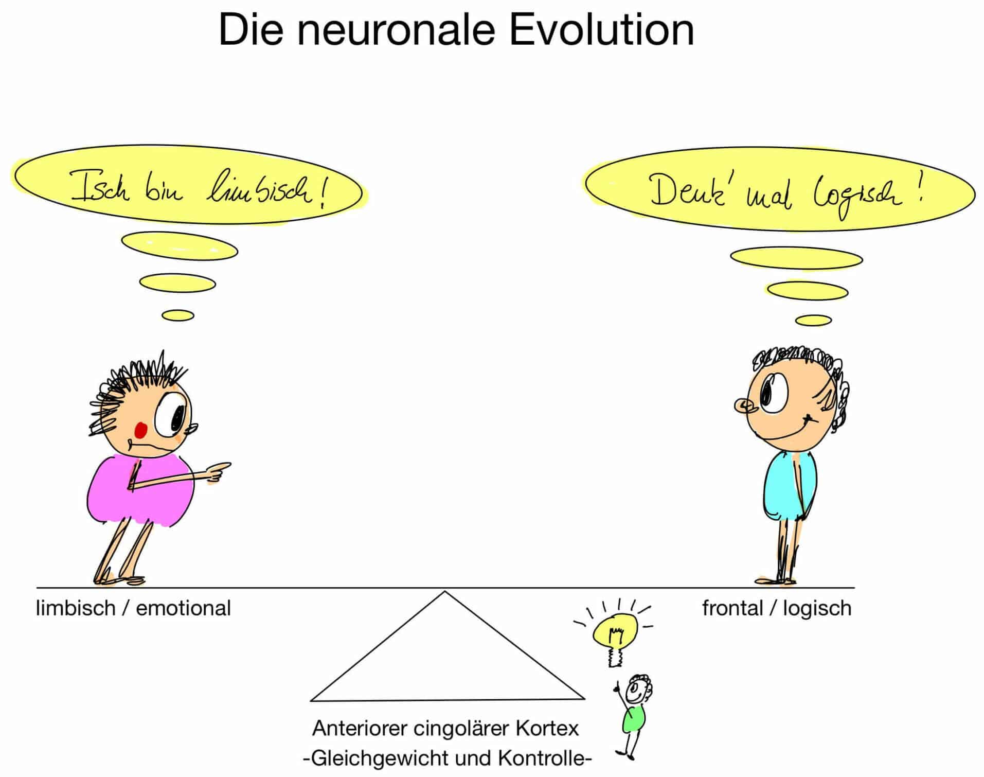 Neuronale Evolution